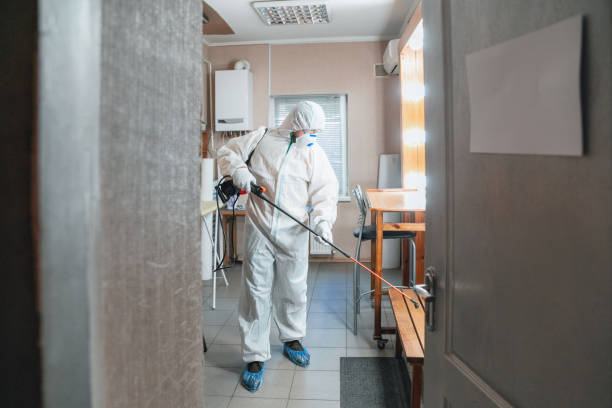 Mold Remediation for Vacation Homes in Red Oak, NC