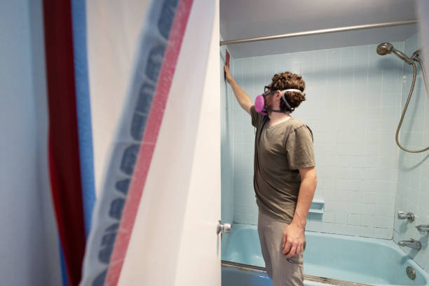 Best Comprehensive Air Testing for Mold Contaminants  in Red Oak, NC