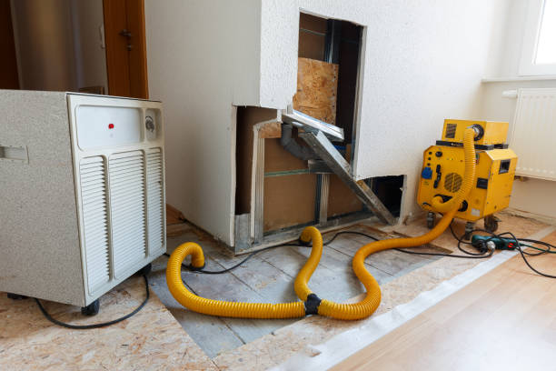 Trusted Red Oak, NC Mold Removal Experts