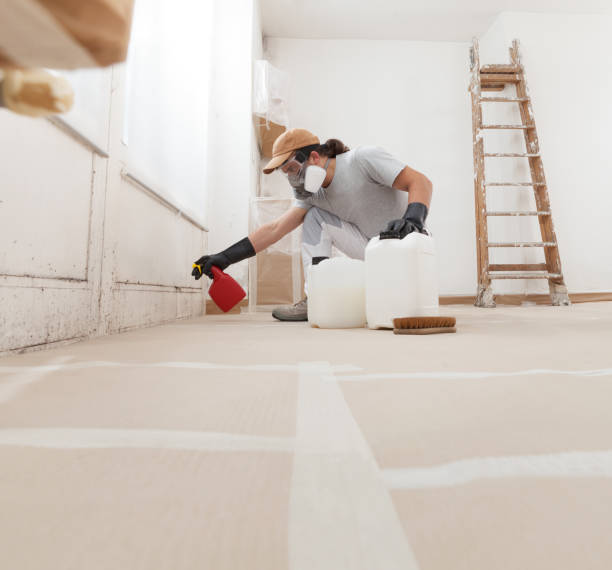 Best Post-Remediation Verification Testing  in Red Oak, NC